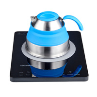 Popup S/S Induction Compatible Compact Kettle 2L