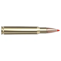 Hornady Superformance 30-06 Springfield 165Gr SST 20box