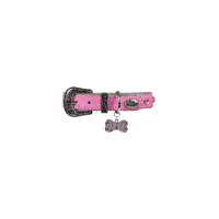 Pure Western Tilly Dog Collar