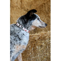Pure Western Randy Dog Collar