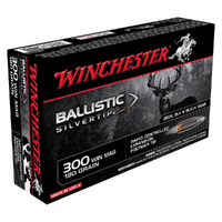 Winchester Ballistic ST 300WM 180gr PT