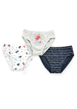 Picture of Thomas Cook Boys Undies Three Pack