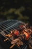 Picture of Ozpig Big Pig Chargrill (BP)